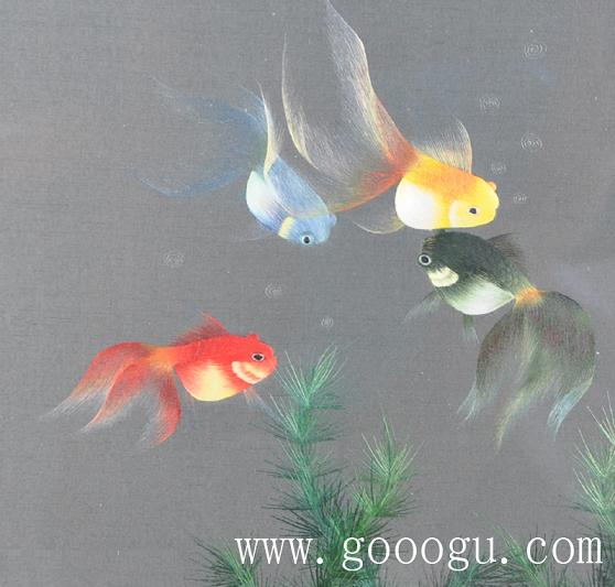 金魚自由自在的游動(dòng)、展現(xiàn)出形態(tài)優(yōu)美的舞姿！